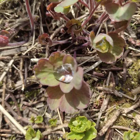 Casa vacanze District Bootle (Cumbria)